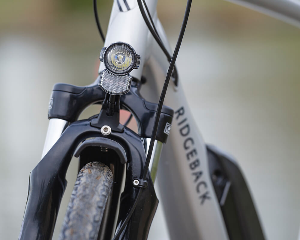ridgeback cyclone electric review